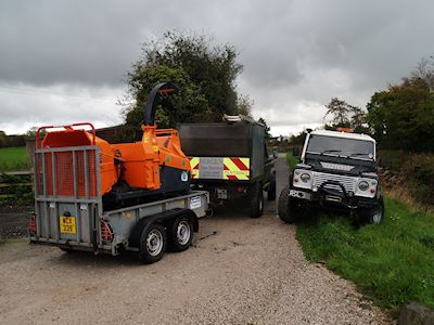 Bergen Tree Services - Professional Tree Care Solutions